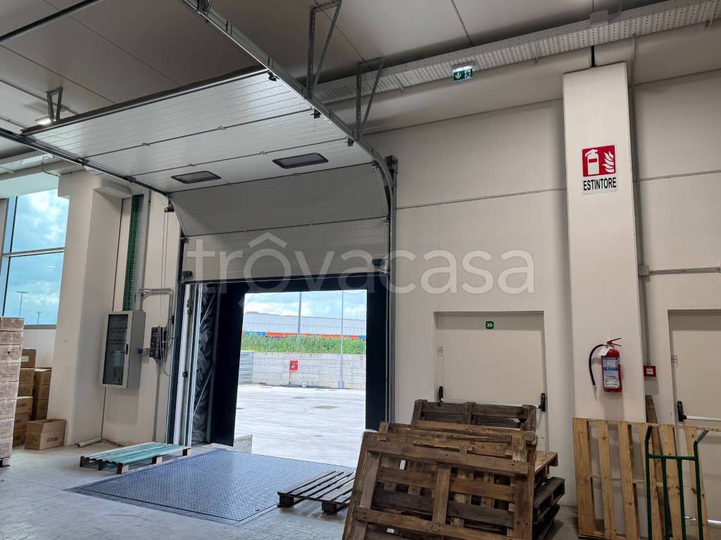 immagine annuncio 8 di 11