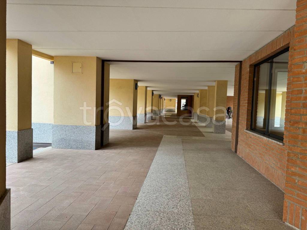 immagine annuncio 12 di 13
