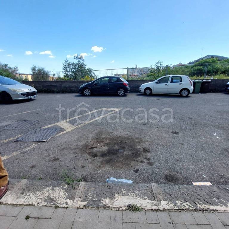 immagine annuncio 3 di 14