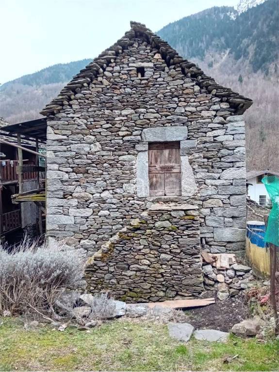 immagine annuncio 1 di 8