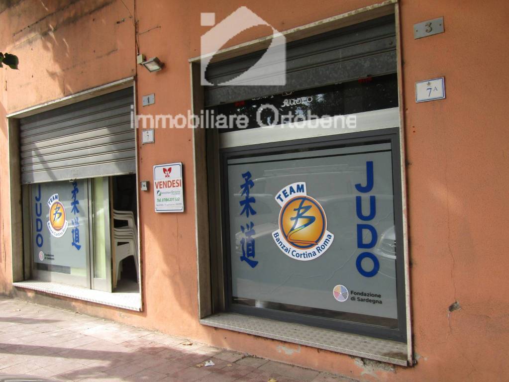 immagine annuncio 1 di 7