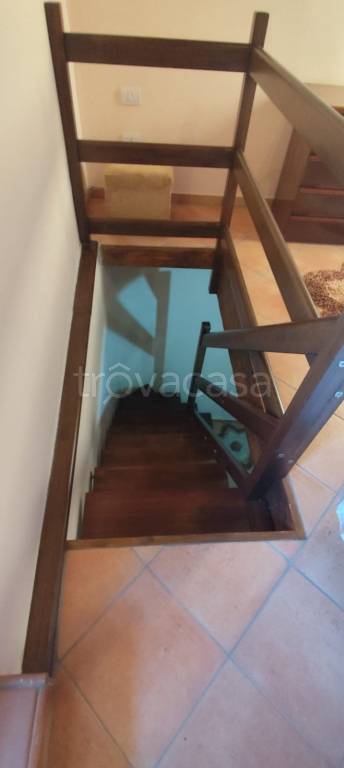 immagine annuncio 9 di 14