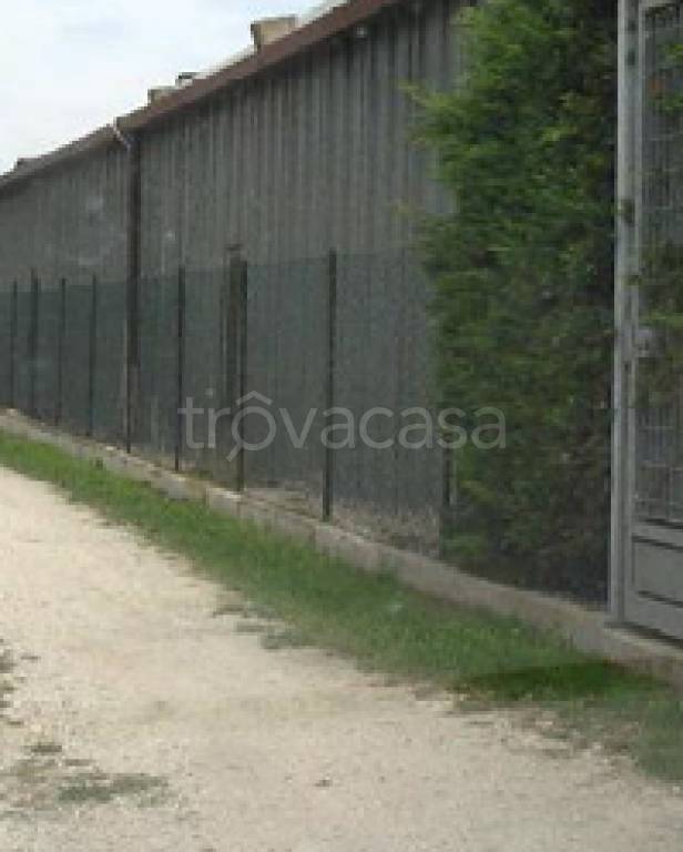 immagine annuncio 7 di 9