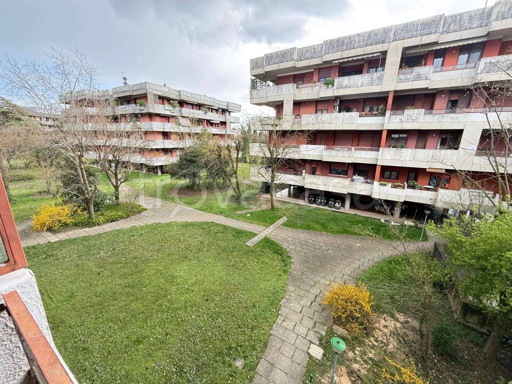 immagine annuncio 9 di 13