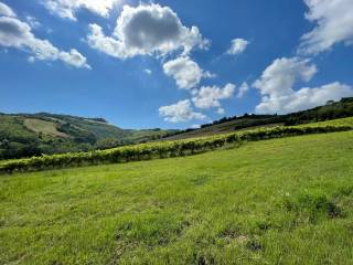 Casale in vendita a ripatransone contrada collevecchio