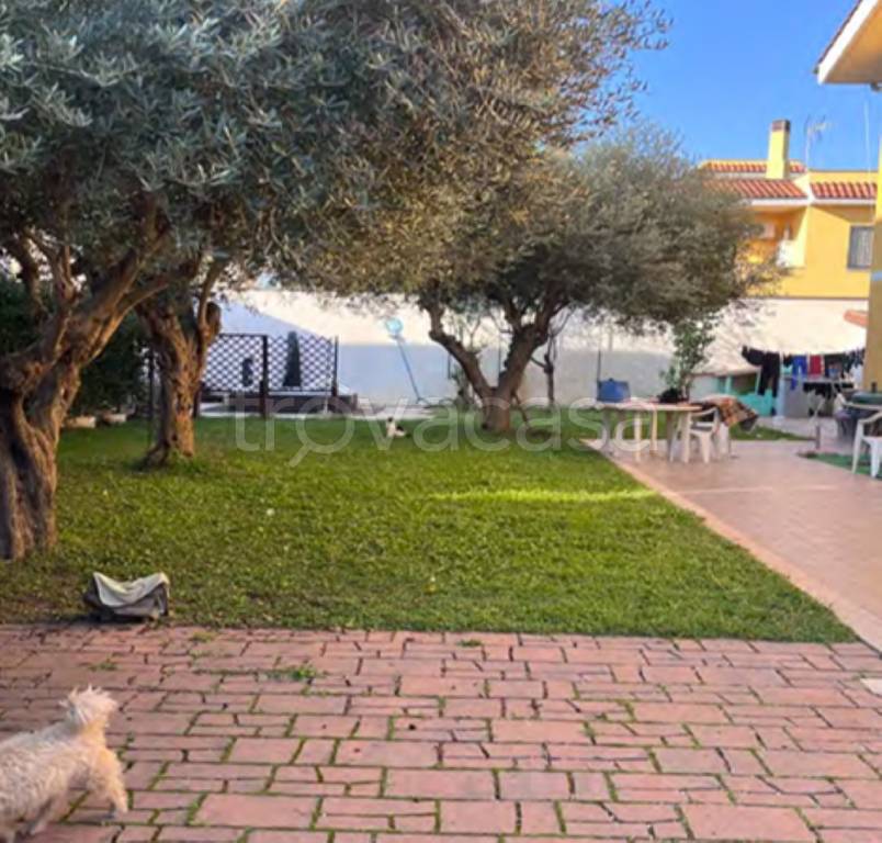 immagine annuncio 8 di 14