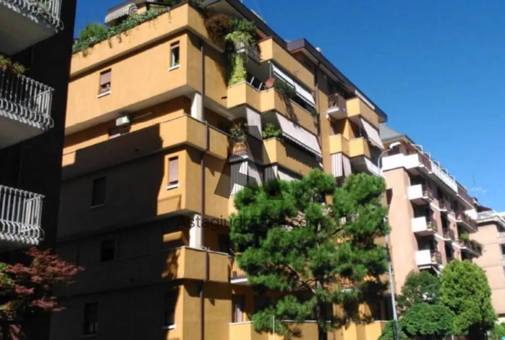 immagine annuncio 4 di 9