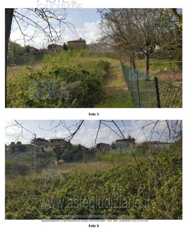 immagine annuncio 3 di 6