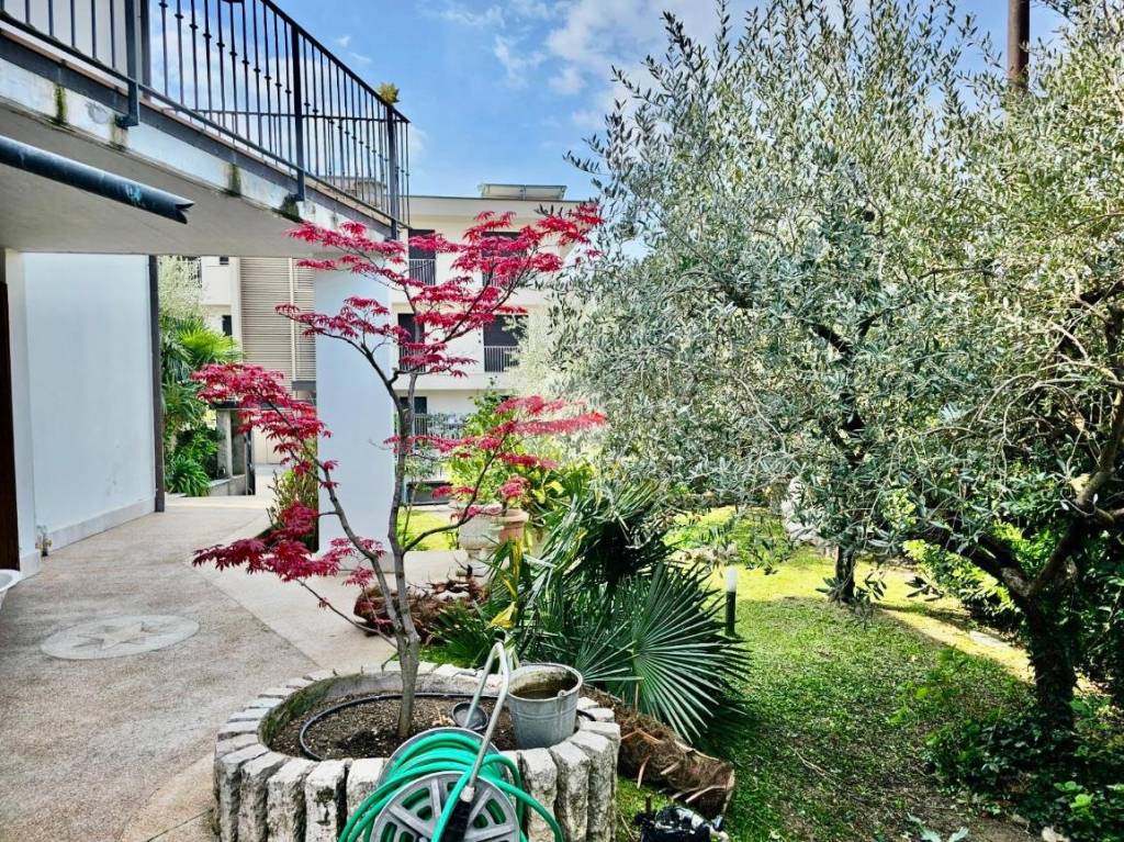 immagine annuncio 3 di 11