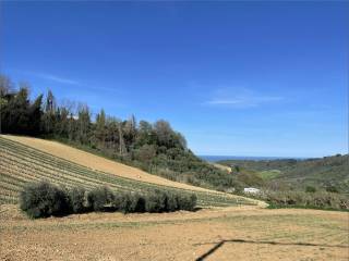 Casale in vendita a ripatransone contrada canali