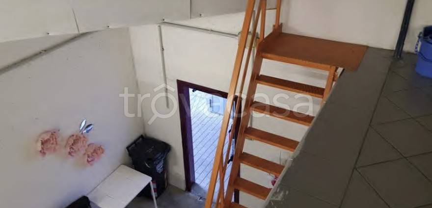 immagine annuncio 3 di 7