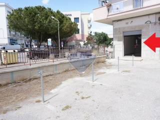 Hobby/tempo libero in affitto a vieste via niccolò tommaseo, 5