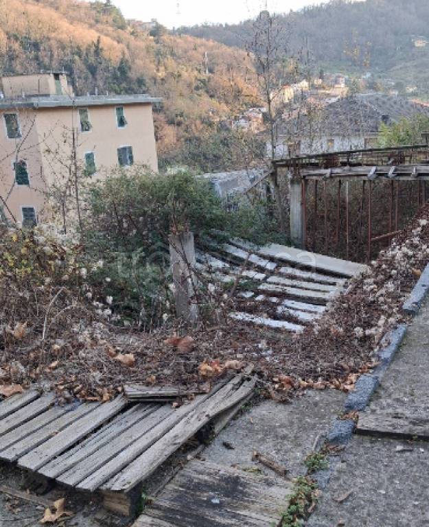immagine annuncio 6 di 12