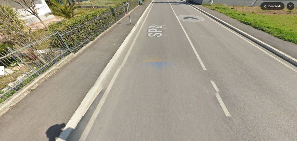 immagine annuncio 3 di 11