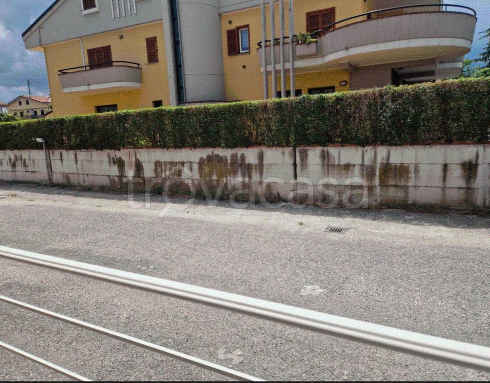 immagine annuncio 8 di 11