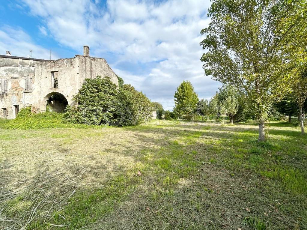 immagine annuncio 4 di 6