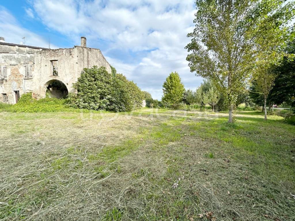 immagine annuncio 5 di 6