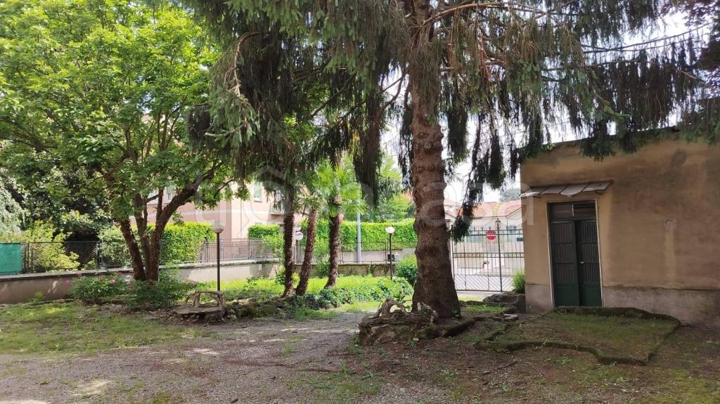 immagine annuncio 12 di 15