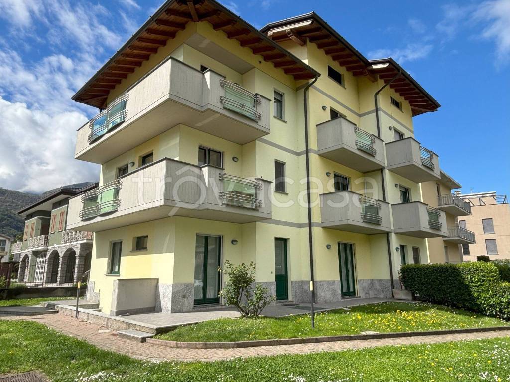 immagine annuncio 1 di 15
