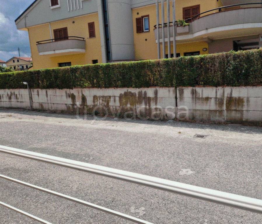 immagine annuncio 2 di 14