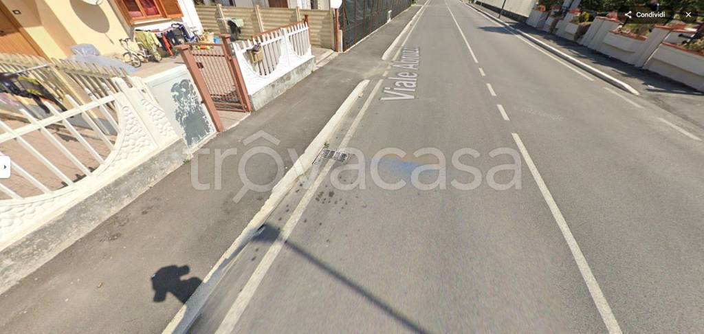 immagine annuncio 12 di 14