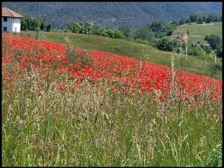 Terreno residenziale in vendita a sassello loc. bandite