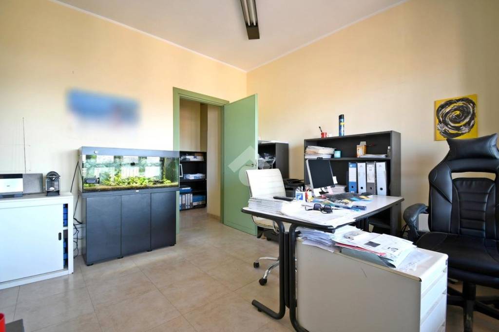 immagine annuncio 9 di 12
