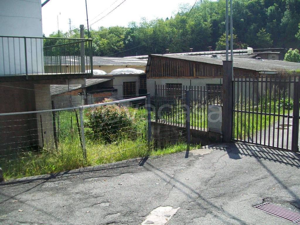 immagine annuncio 7 di 13