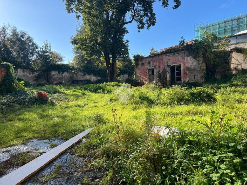 immagine annuncio 2 di 14