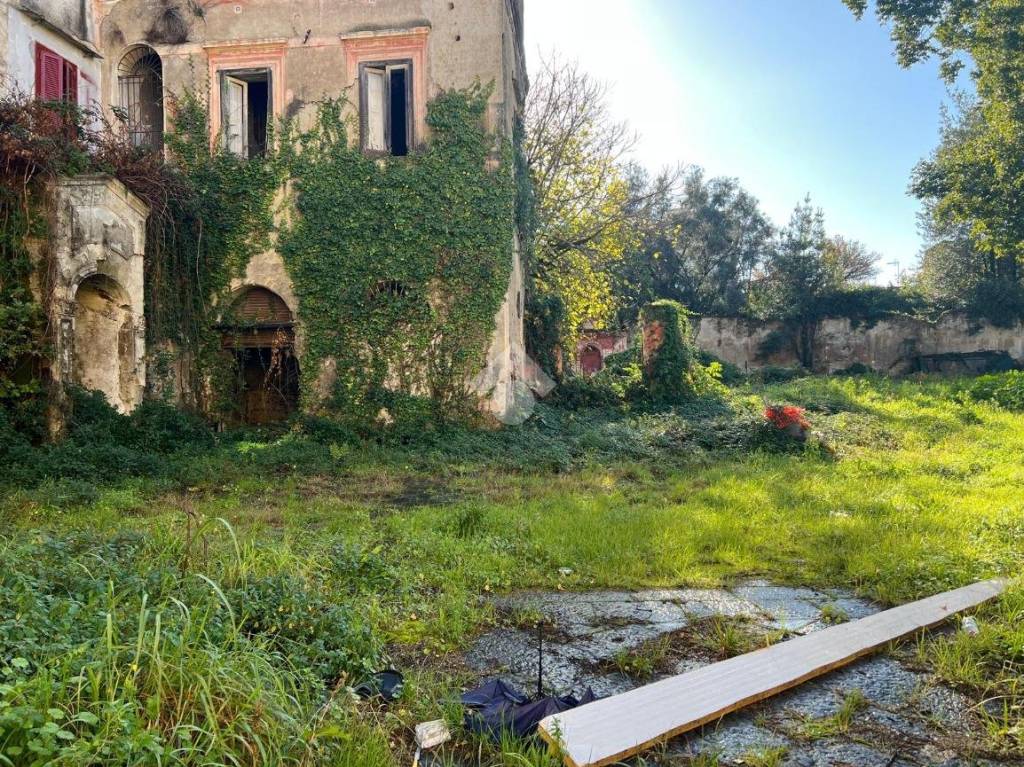 immagine annuncio 7 di 14