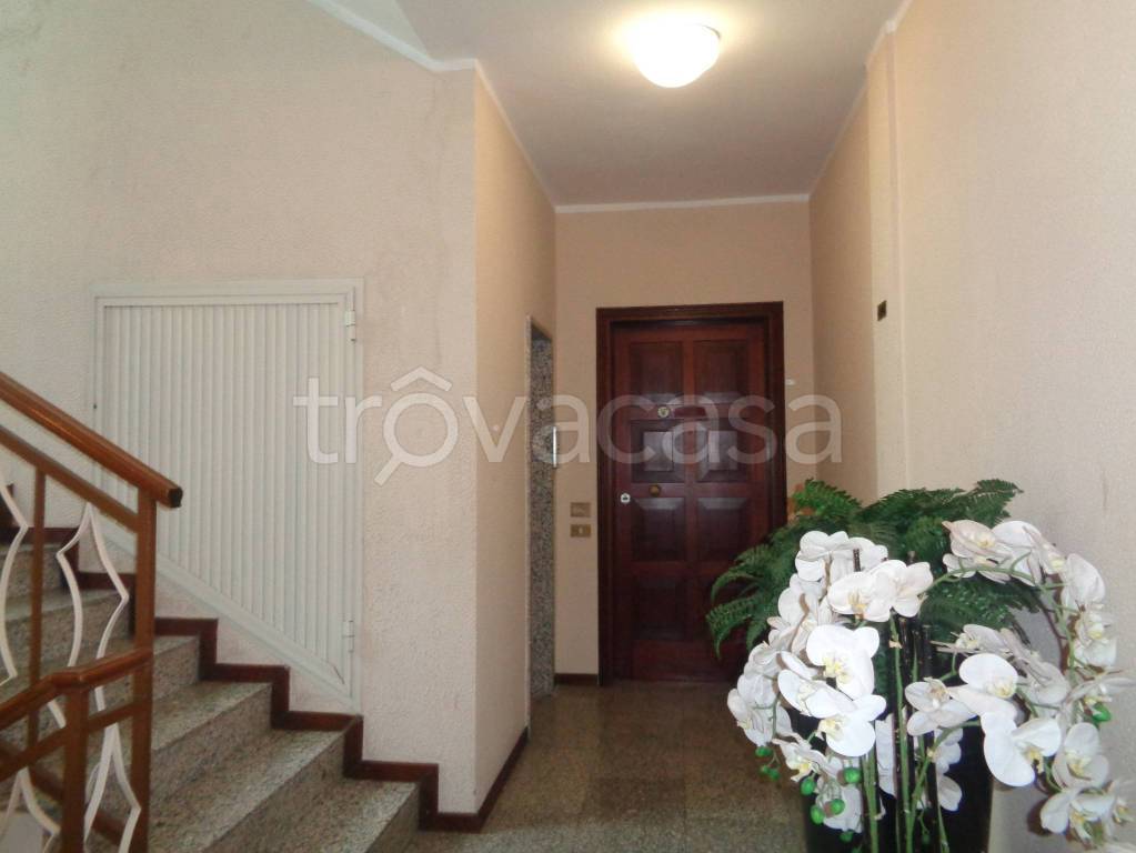 immagine annuncio 6 di 8