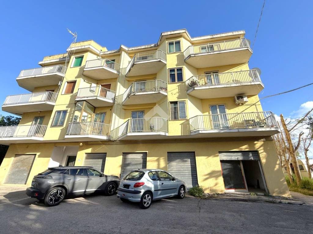 immagine annuncio 5 di 6