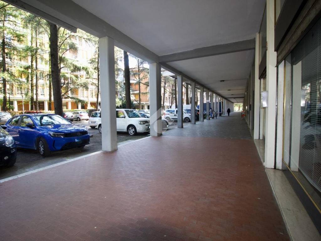 immagine annuncio 3 di 14
