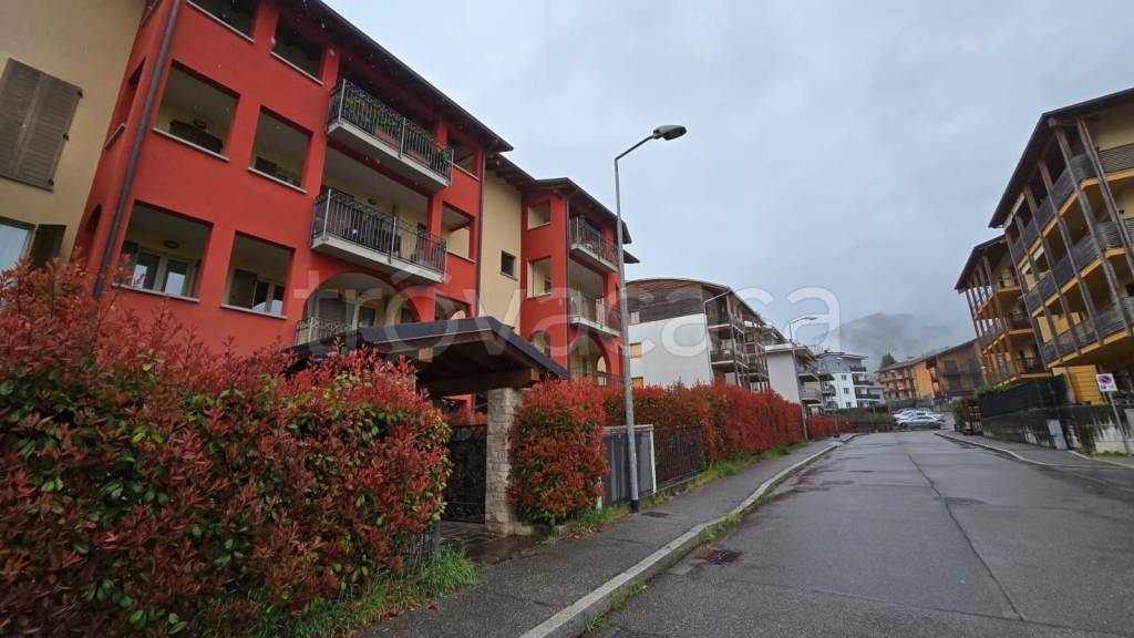 immagine annuncio 12 di 14