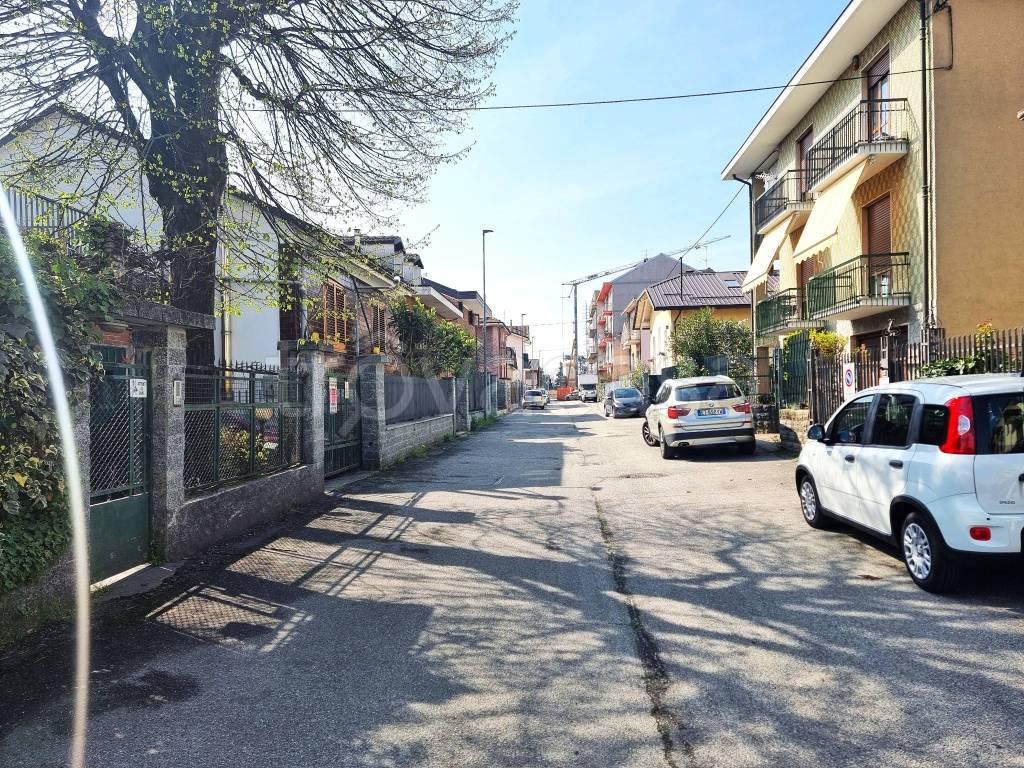 immagine annuncio 6 di 15