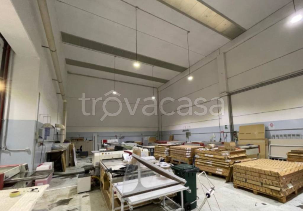 immagine annuncio 5 di 9