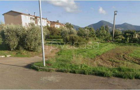 immagine annuncio 1 di 3