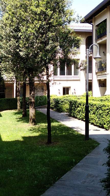 immagine annuncio 9 di 12