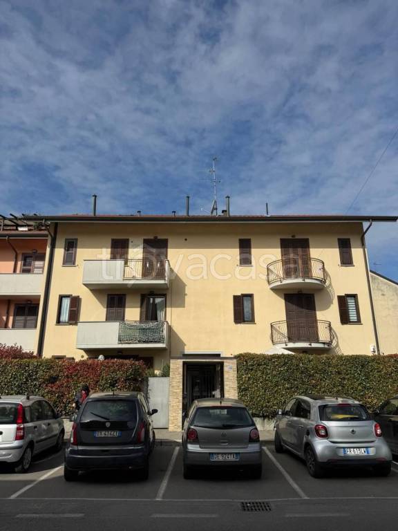 immagine annuncio 1 di 12