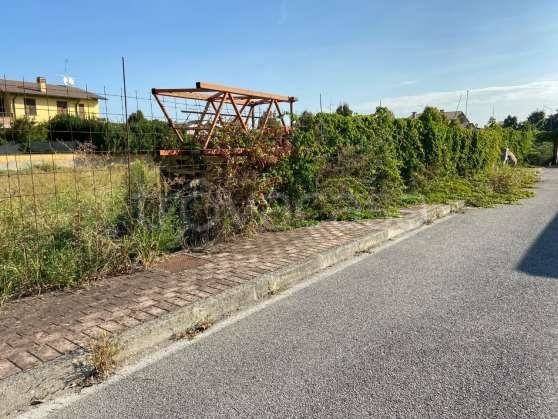 immagine annuncio 3 di 9