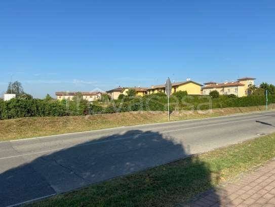 immagine annuncio 4 di 9