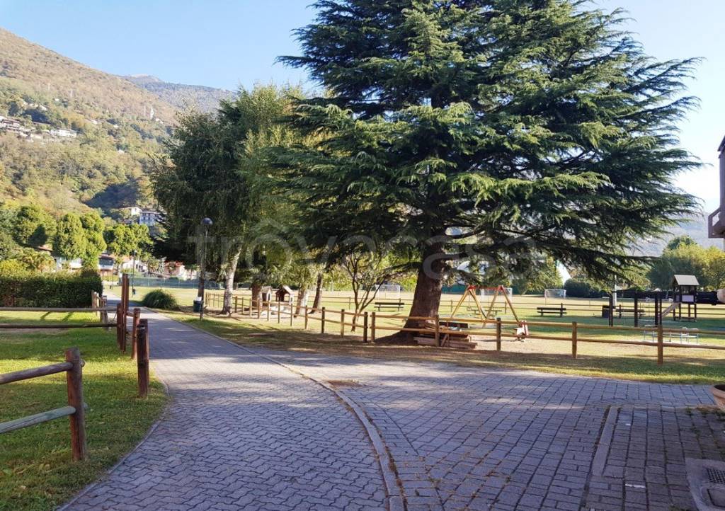 immagine annuncio 9 di 13