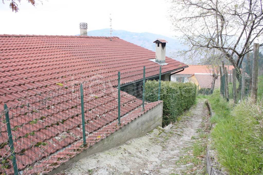 immagine annuncio 8 di 14