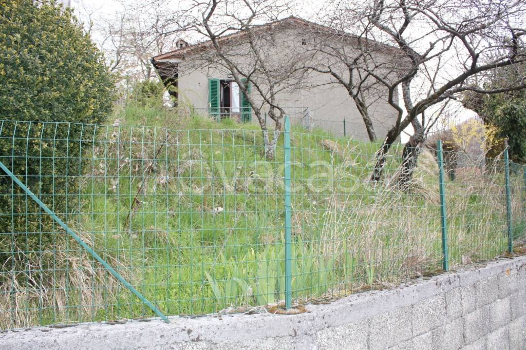 immagine annuncio 10 di 14
