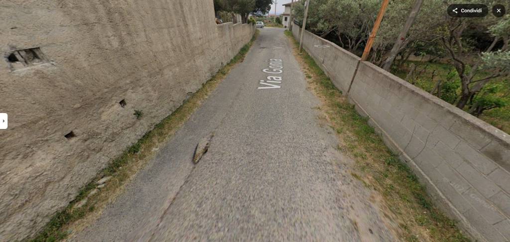 immagine annuncio 6 di 11