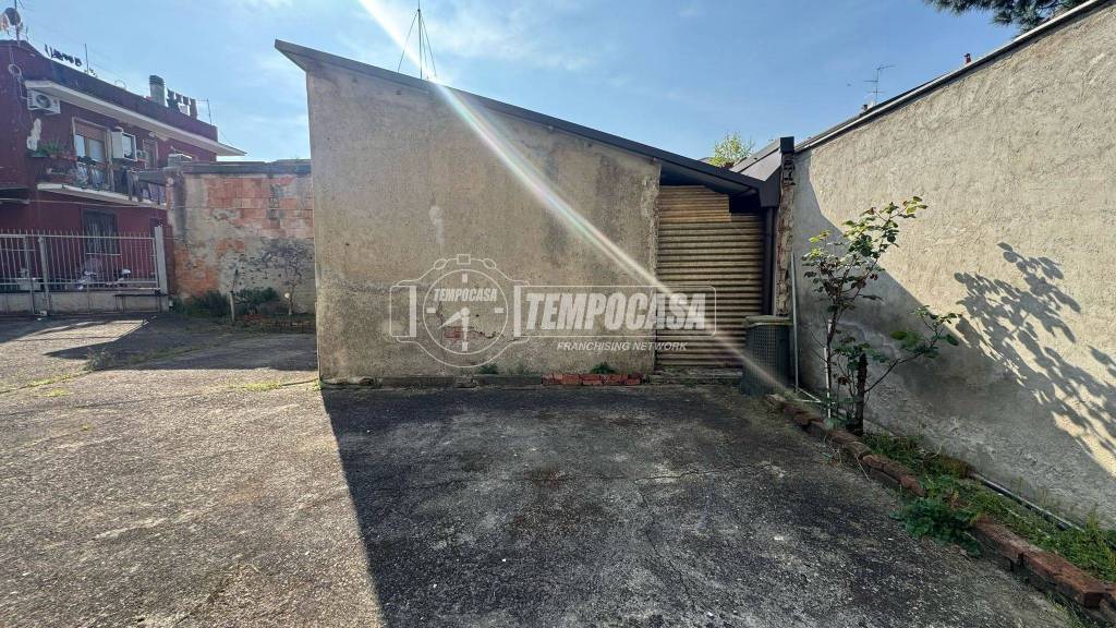 immagine annuncio 5 di 13