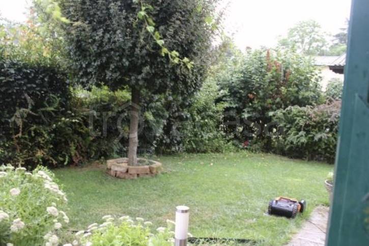 immagine annuncio 7 di 11