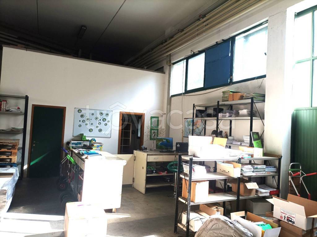 immagine annuncio 5 di 15