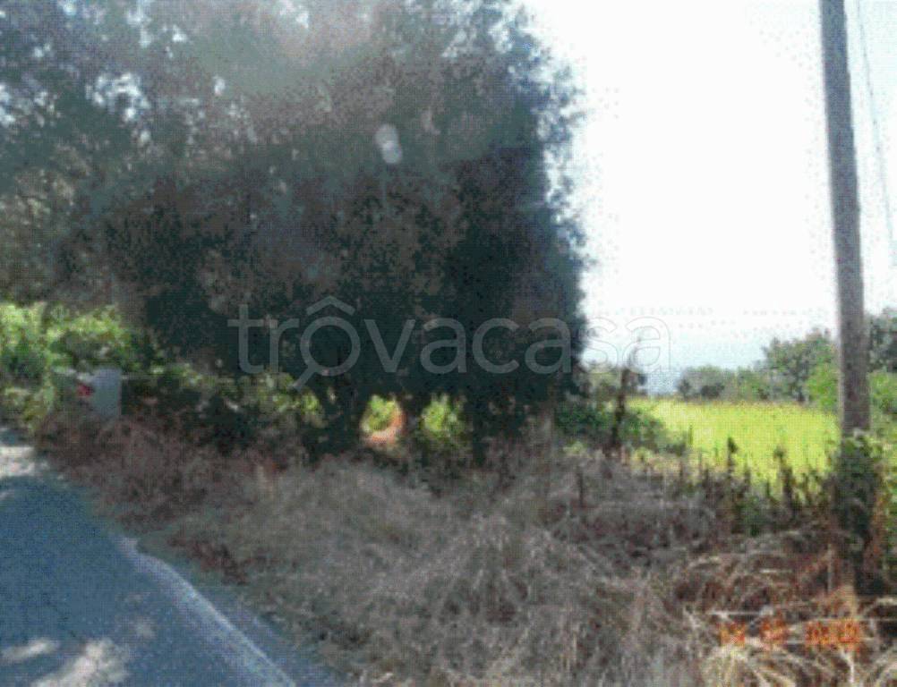 immagine annuncio 11 di 12