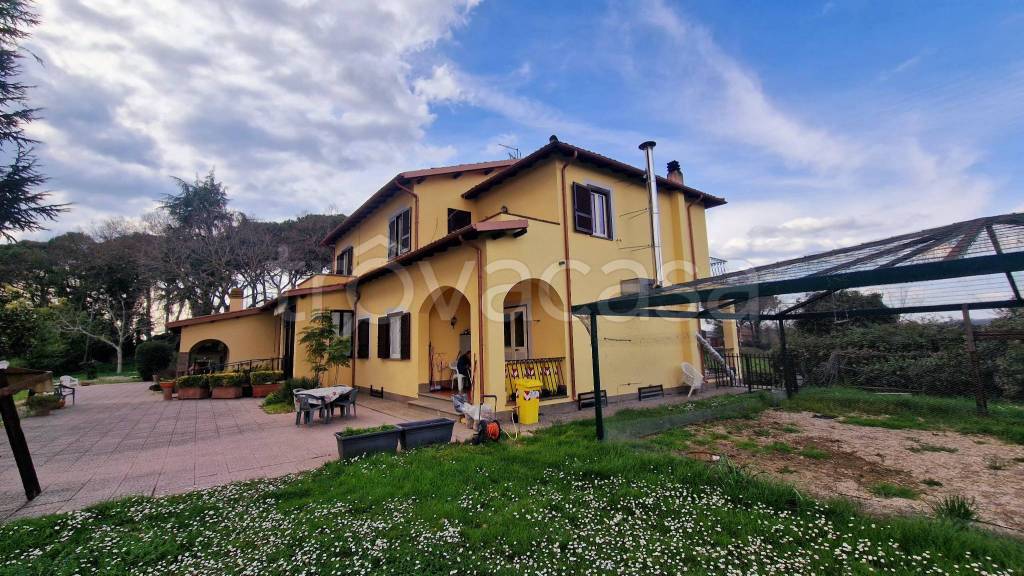 immagine annuncio 7 di 11